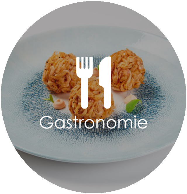 Gastronomía