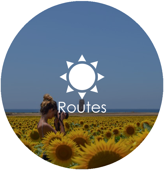 Rutas
