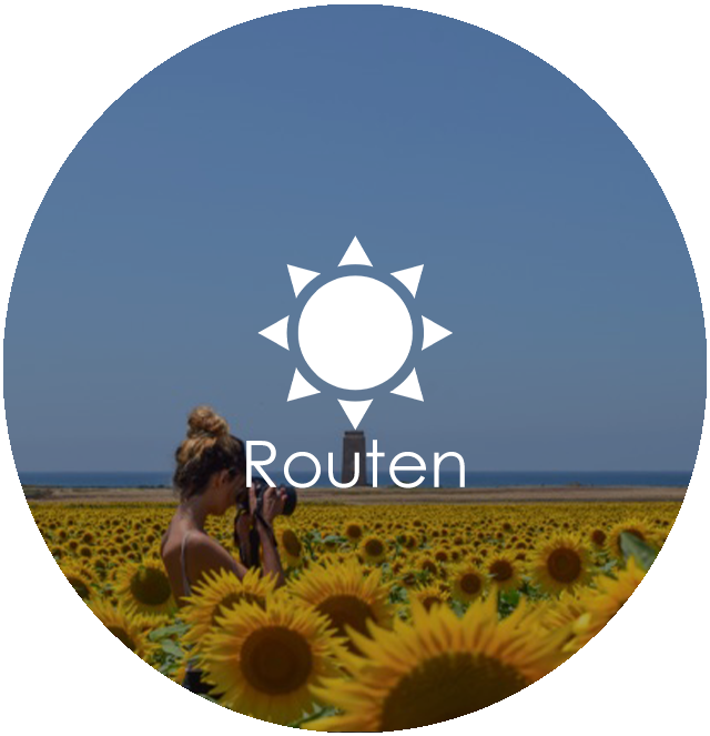 Routen