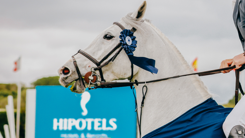 La relación mágica entre los caballos y Hipotels en Andalucía